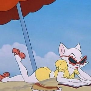 Meet your Posher, Carmen